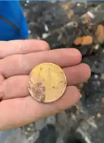 rare coin found by BELFOR Environmental